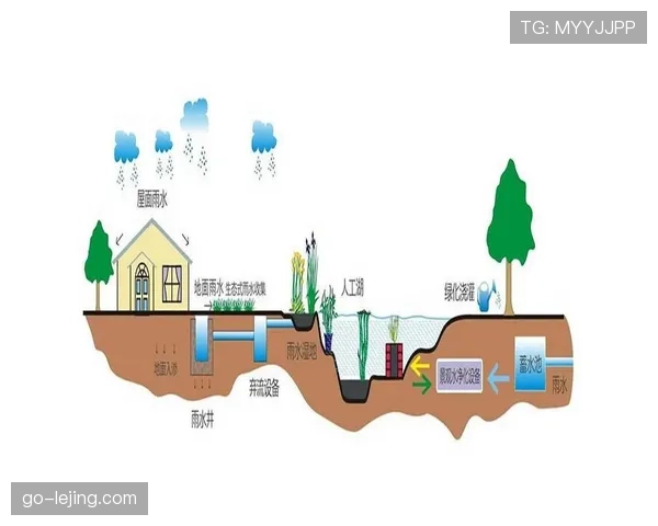 深度报道：欧洲足球场馆可持续改造计划，太阳能顶棚与雨水回收系统成标配
